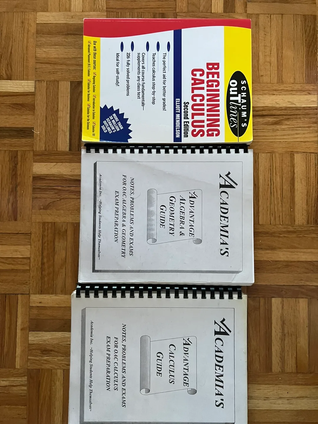 Academia's Advantage Calculus & Algebra Guides thumbnail