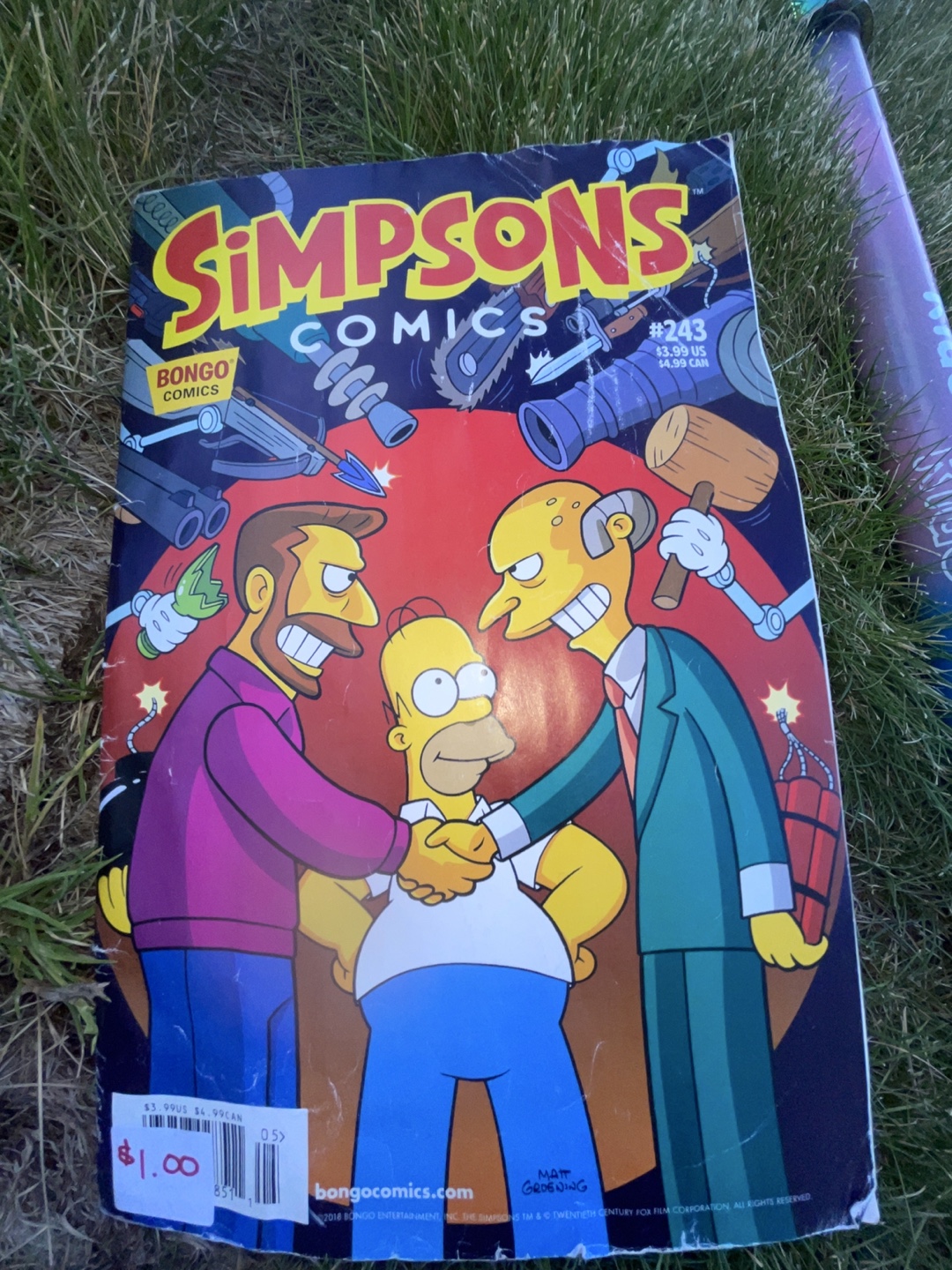 Simpsons Comics #243