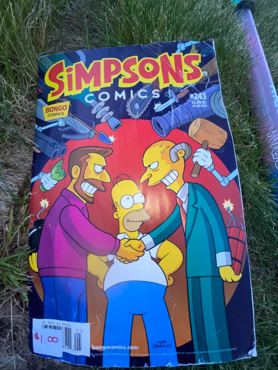 Simpsons Comics #243 thumbnail
