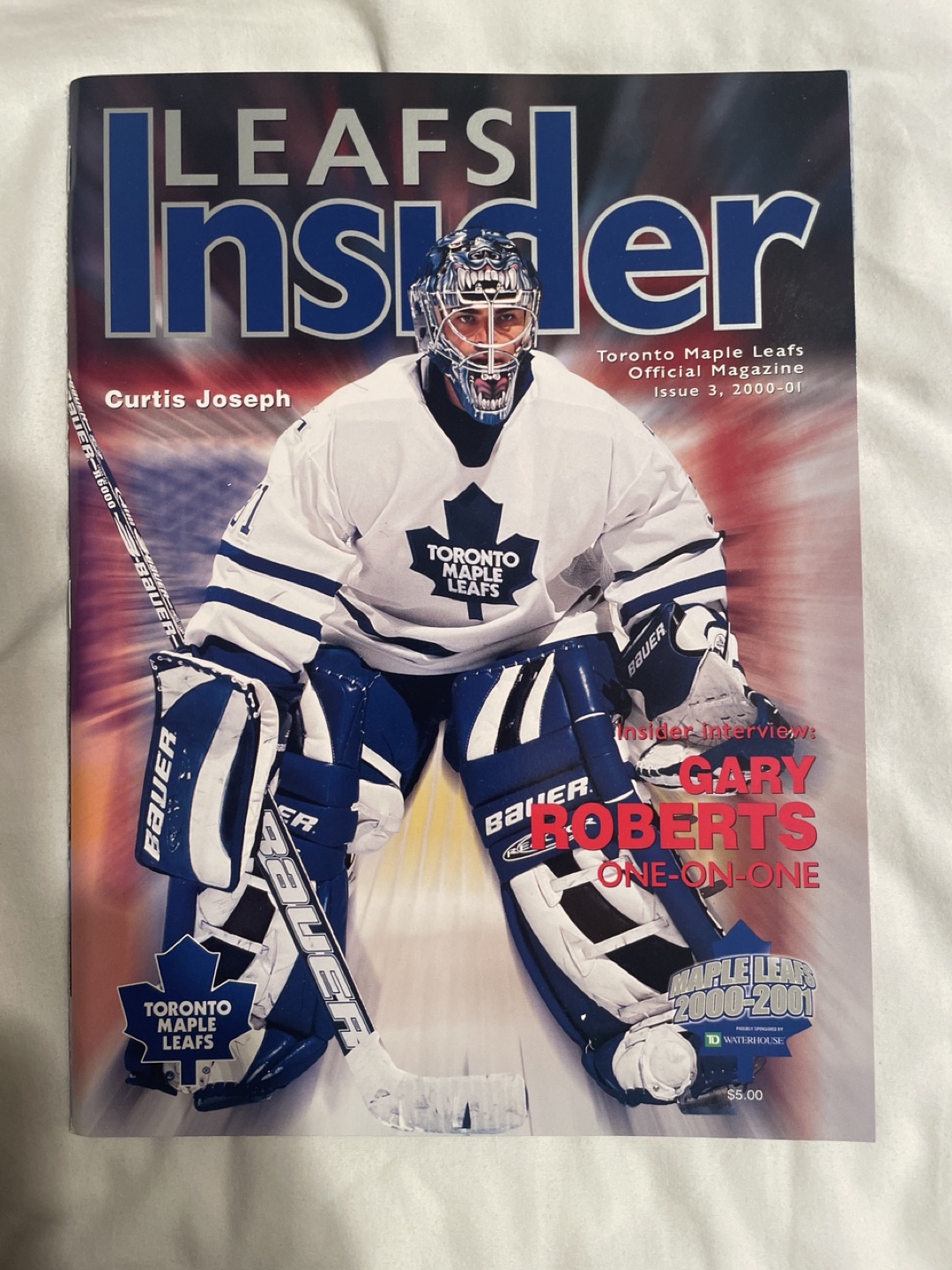 Hockey program