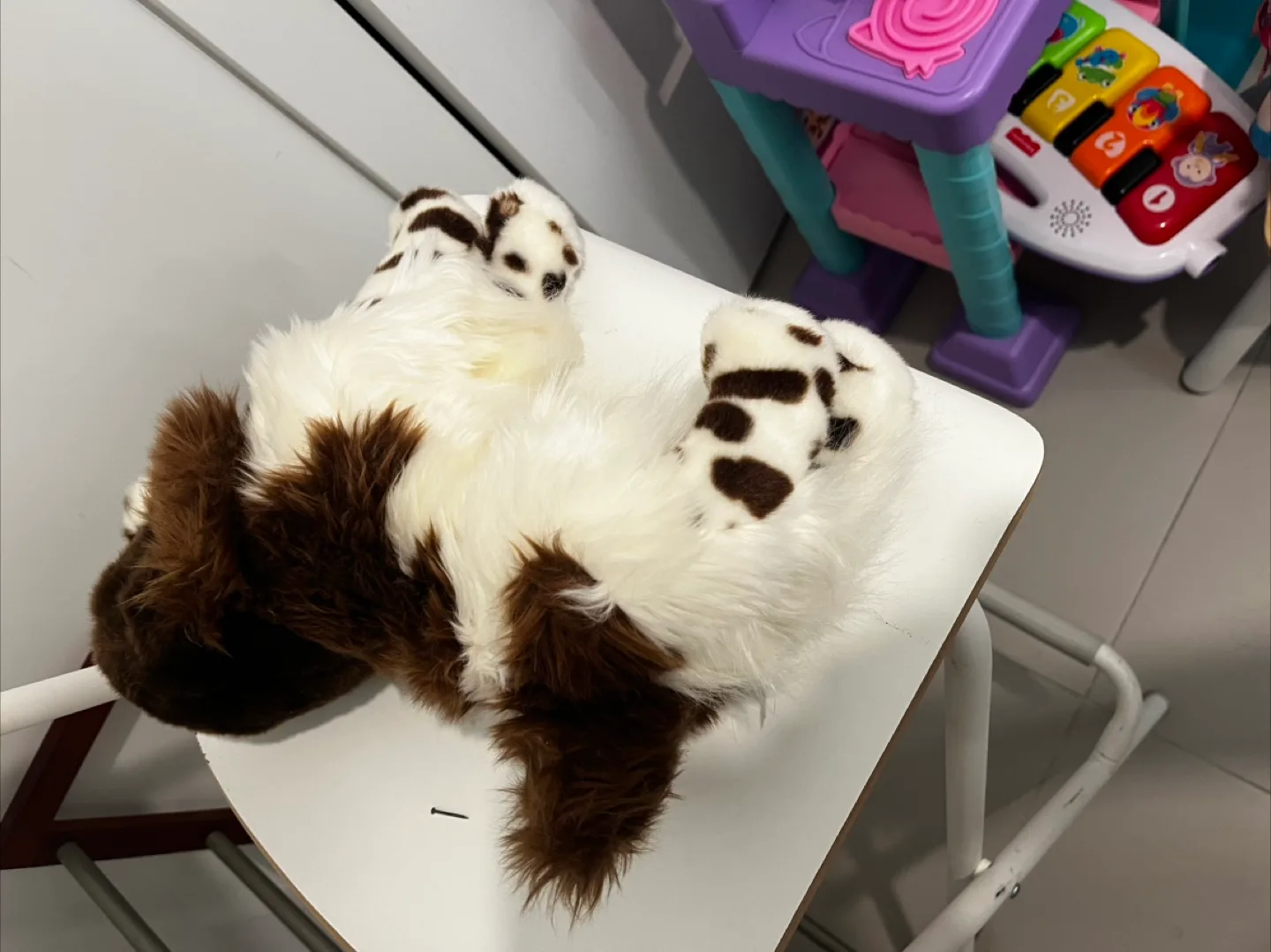 Gund Spunky Spaniel Plush Toy image indicator(4)