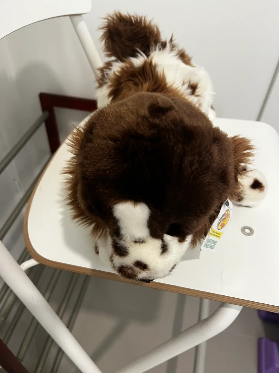 Gund Spunky Spaniel Plush Toy image indicator(5)