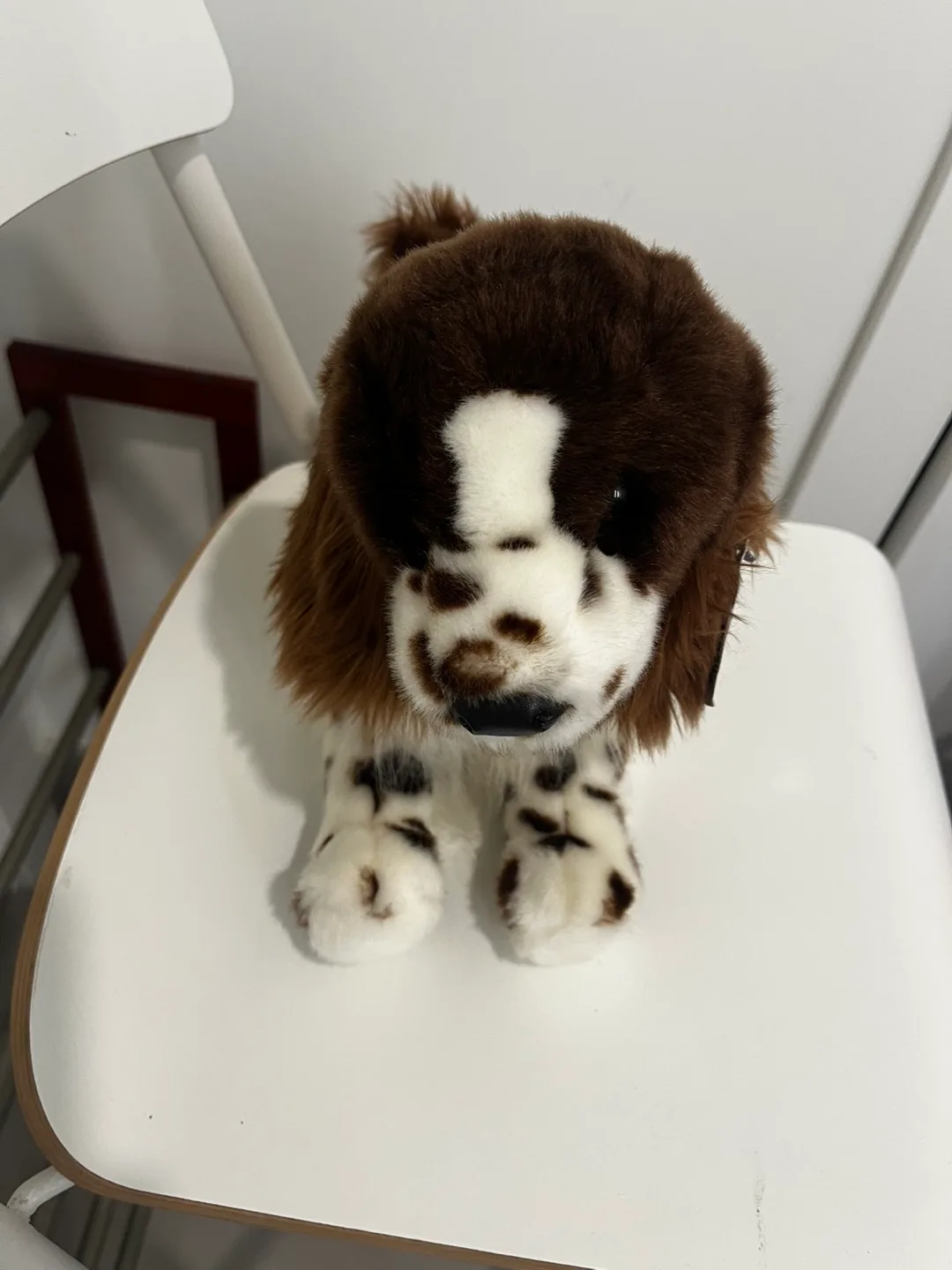 Gund Spunky Spaniel Plush Toy image indicator(3)