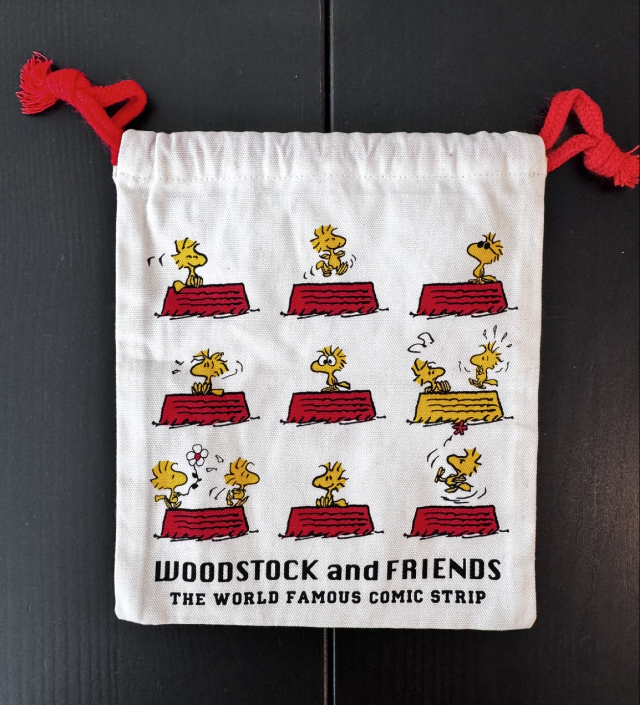 Woodstock and Friends Drawstring Bag