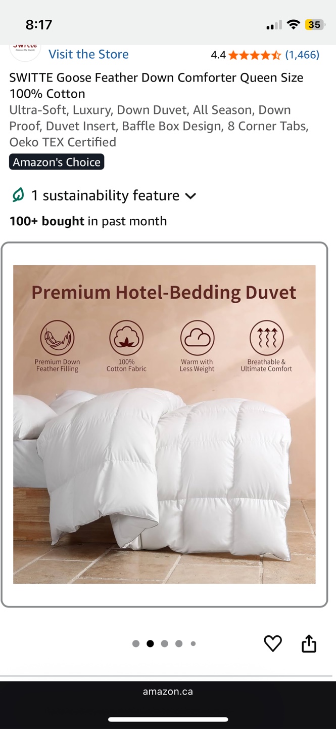 Soft and warm goose feather Queen DUVET plus 2 covers