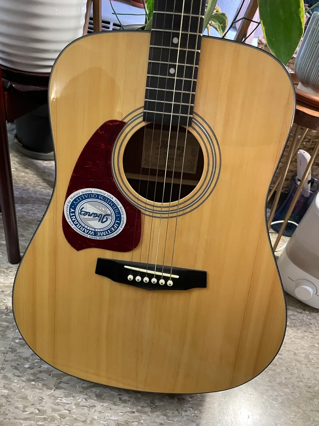 Ibanez Performance Acoustic Guitar w/ Case thumbnail