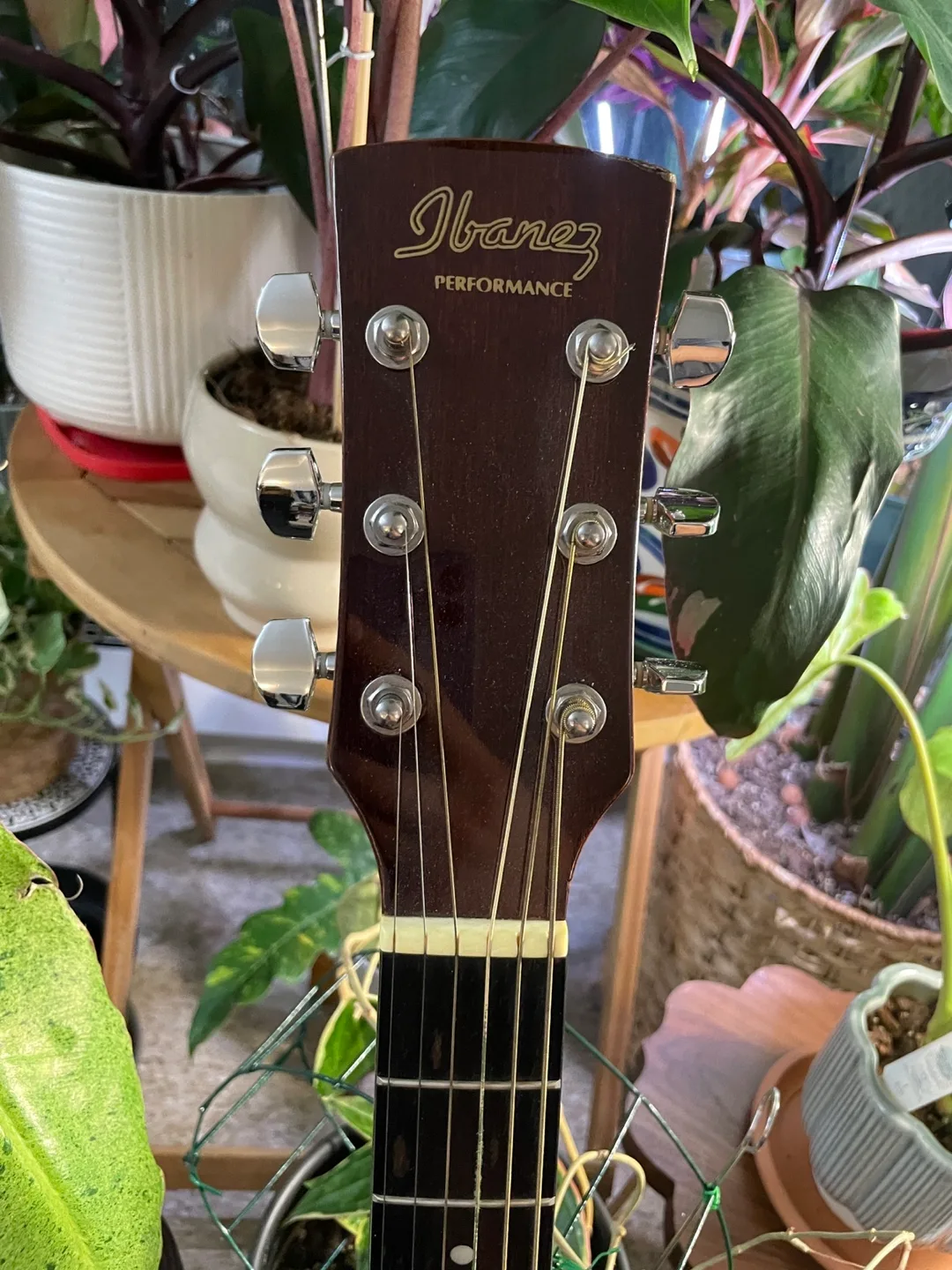 Ibanez Performance Acoustic Guitar w/ Case image indicator(2)