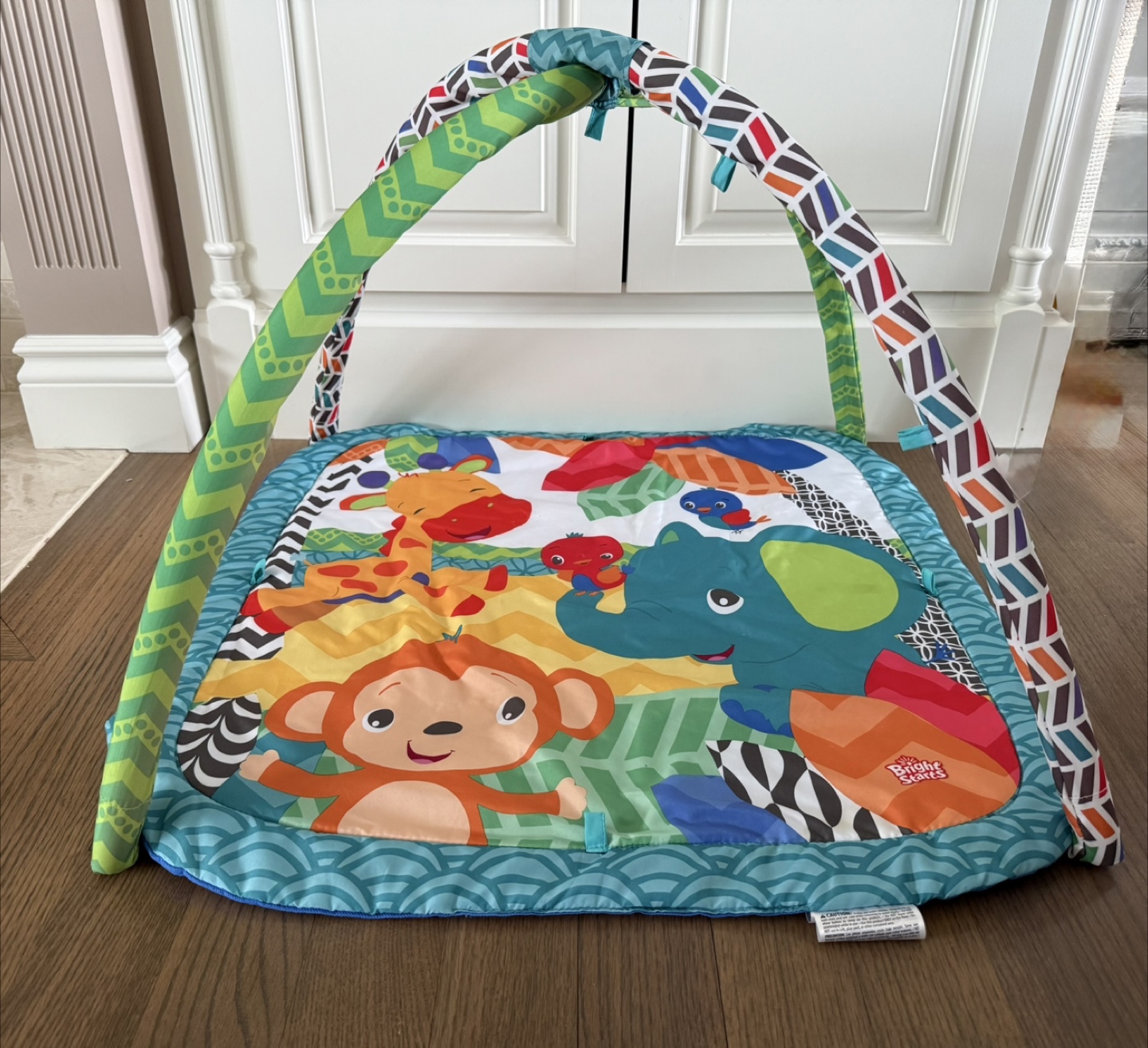 Activity Gym Play Mat