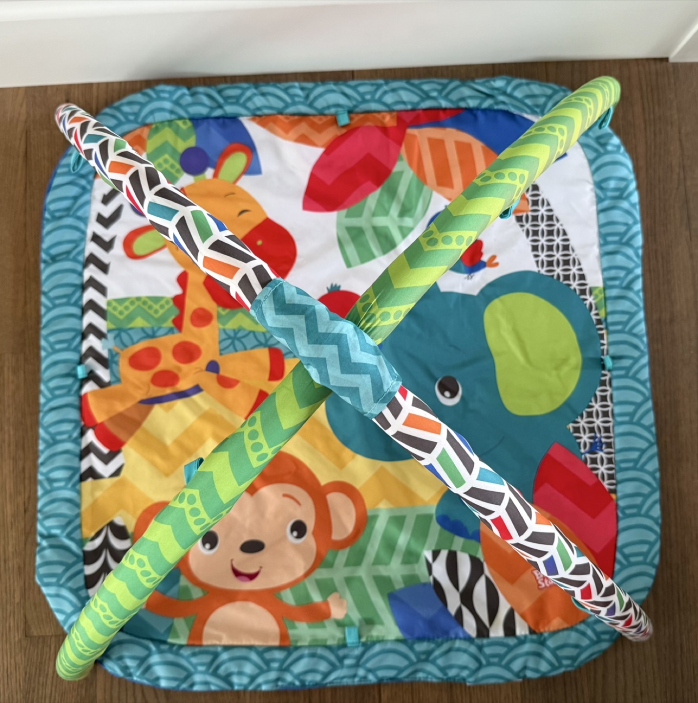 Activity Gym Play Mat - photo 3