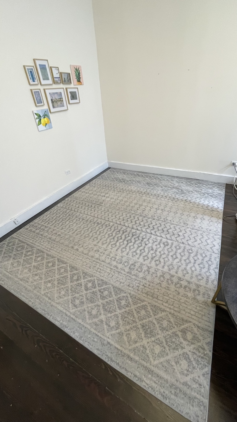 Large Grey and Cream Area Rug - photo 2