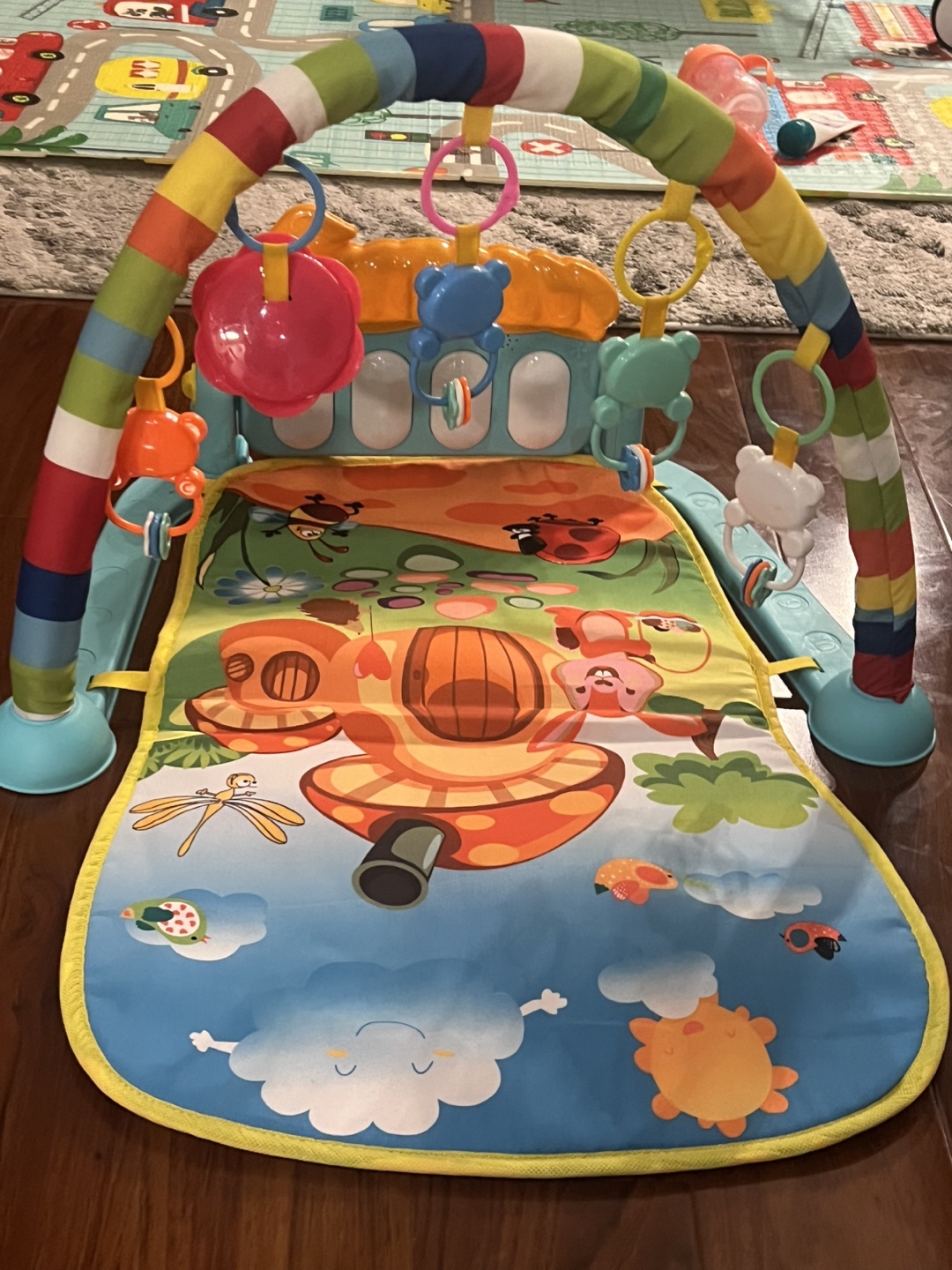 Baby Play Gym Activity Mat
