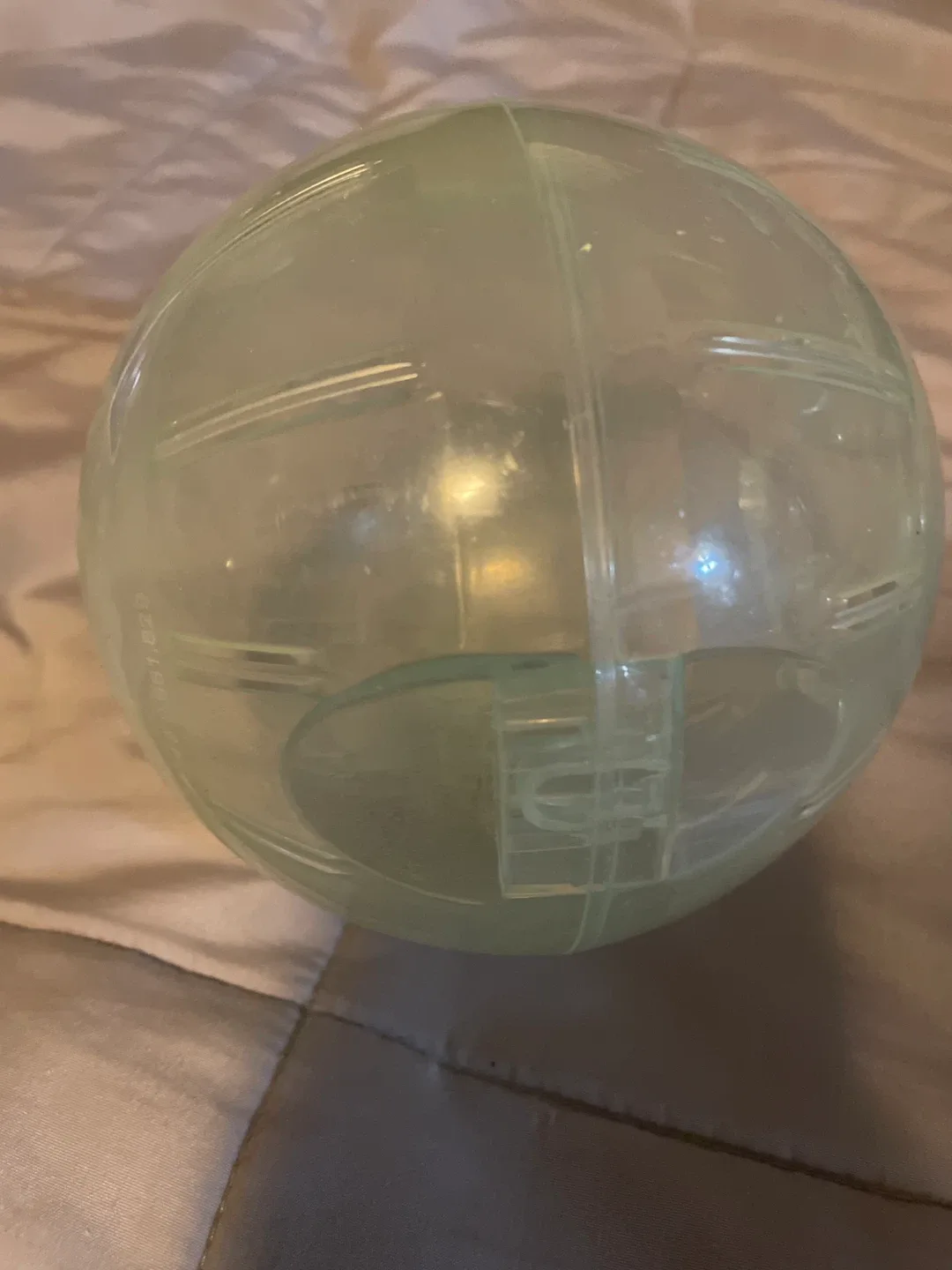 Hamster Exercise Ball thumbnail