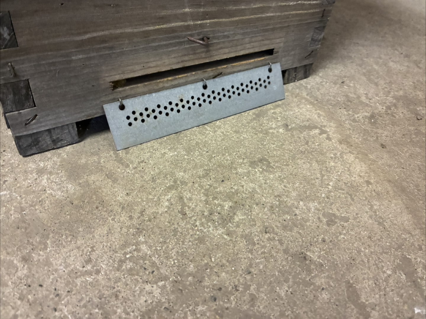 Bee swarm trap - photo 2