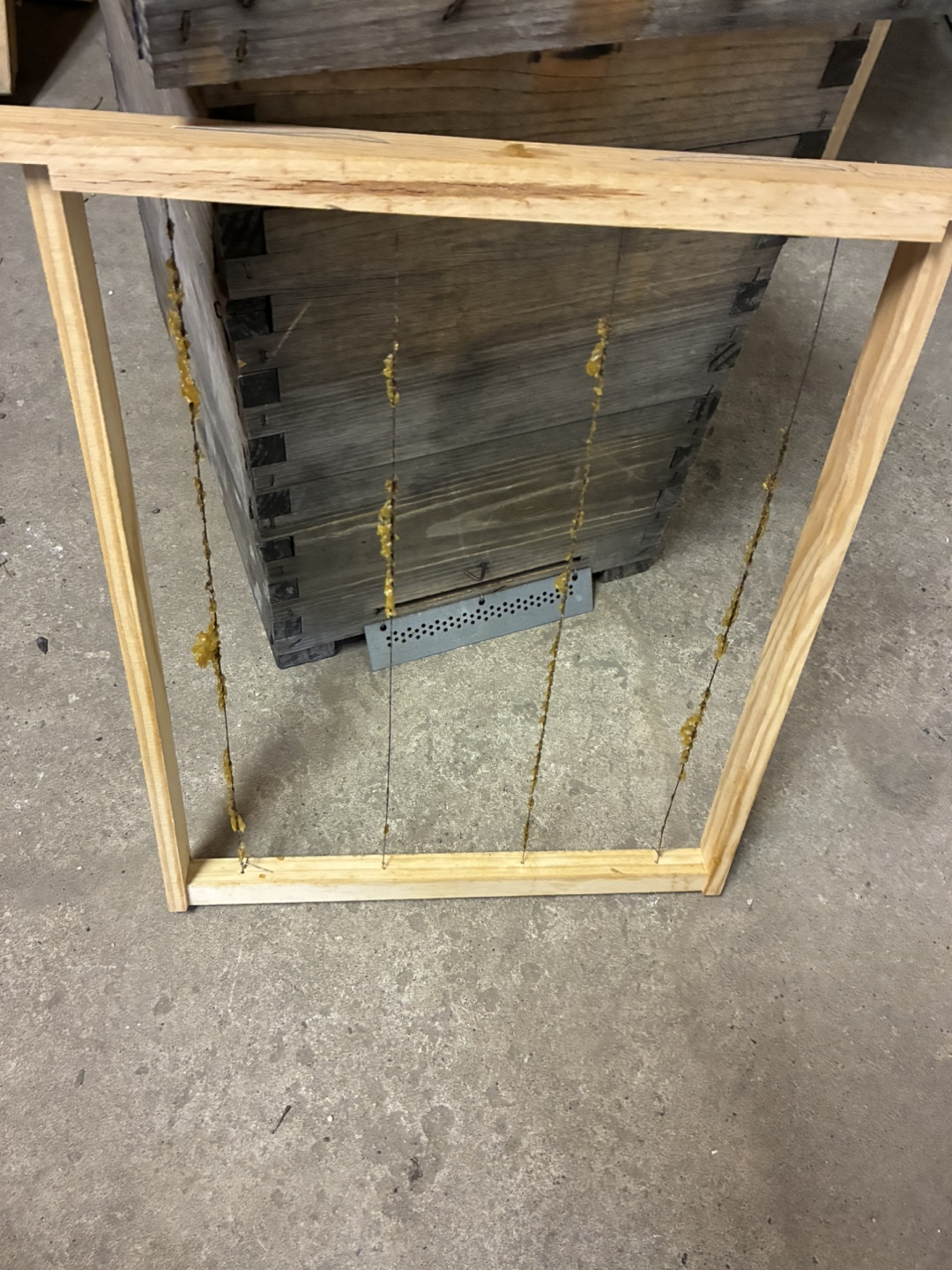 Bee swarm trap - photo 4