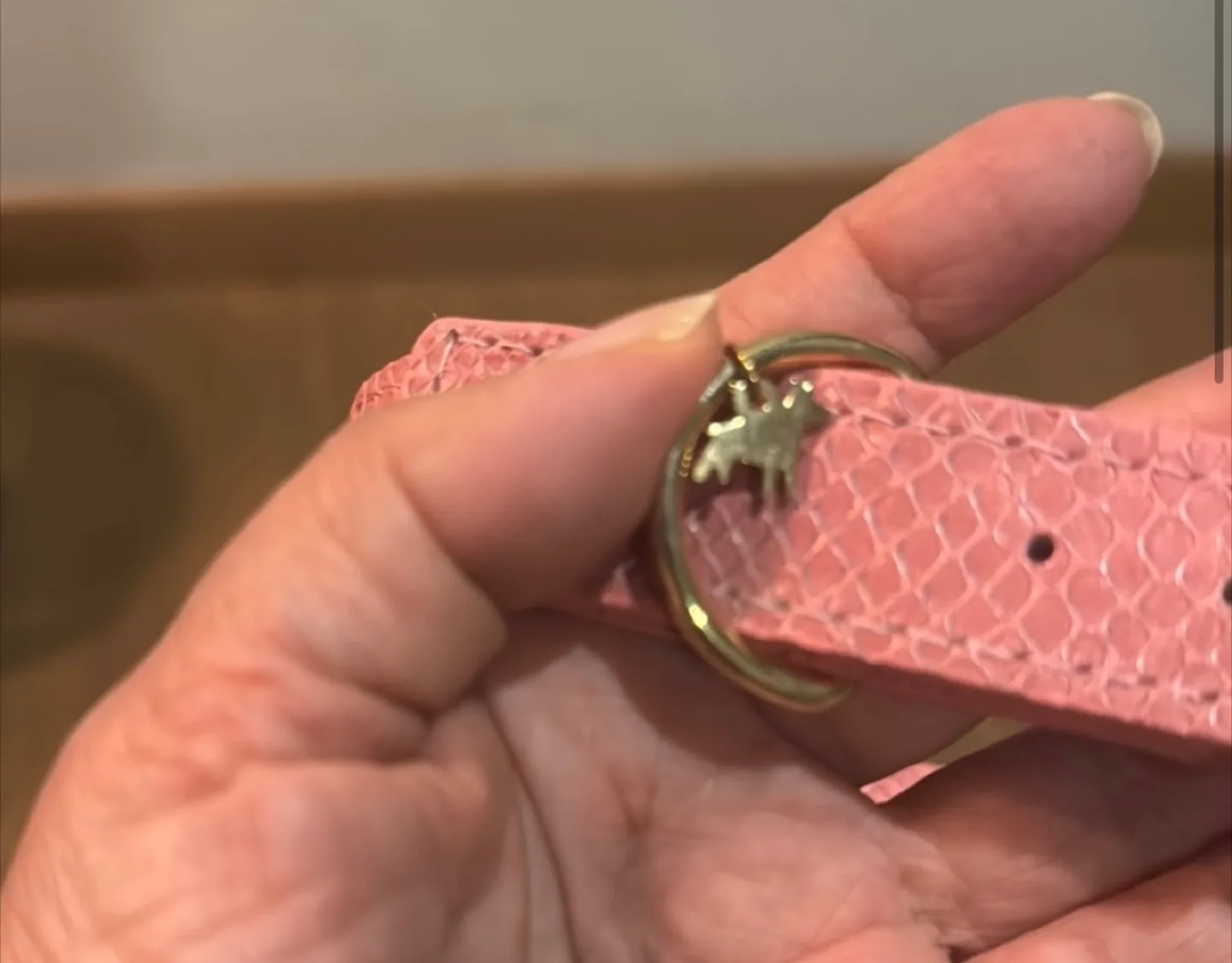 XOLO Collection Pink Dog Collar image indicator(2)