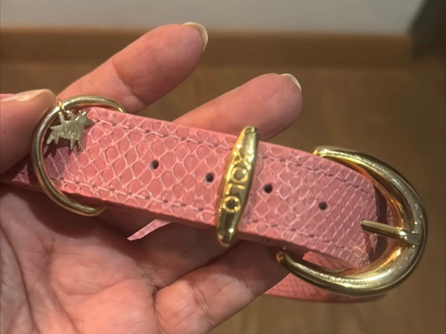 XOLO Collection Pink Dog Collar image indicator(3)