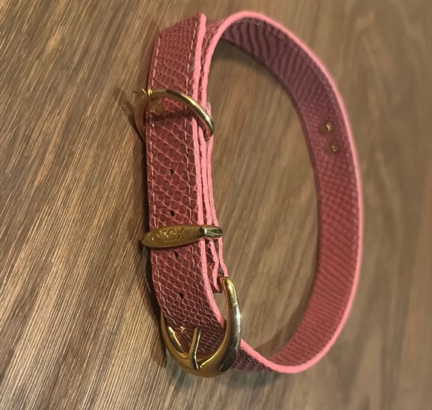 XOLO Collection Pink Dog Collar image indicator(4)