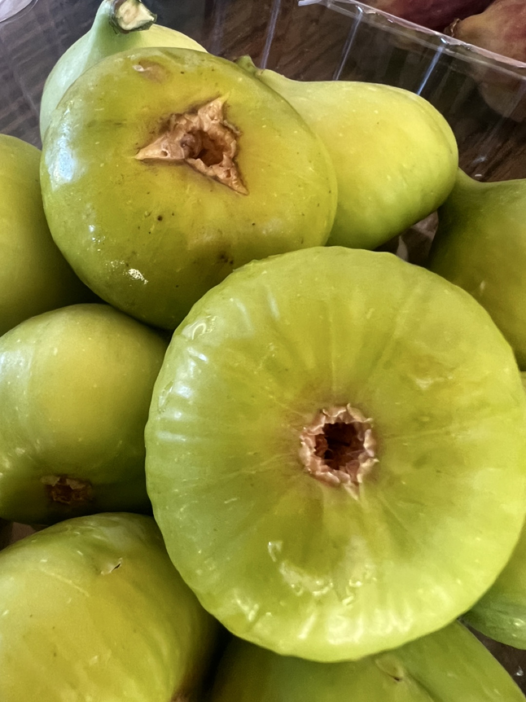 Fig Tree(Brooklyn White) - photo 2