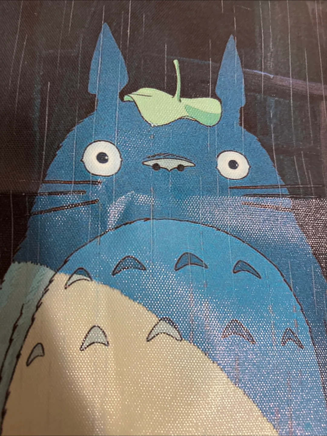 My Neighbor Totoro poster image indicator(4)