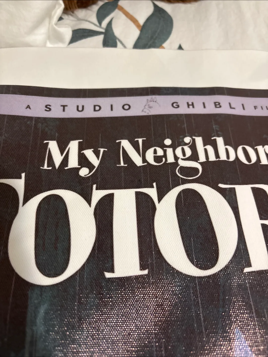 My Neighbor Totoro poster image indicator(3)