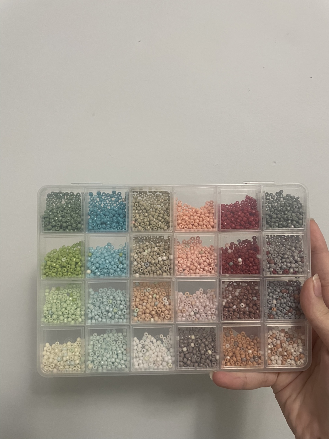 Seed Beads in Organizer Box