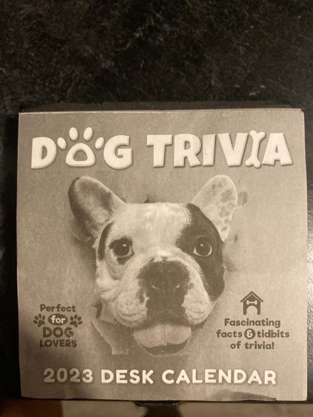 Dog Trivia 2023 Desk Calendar - New thumbnail