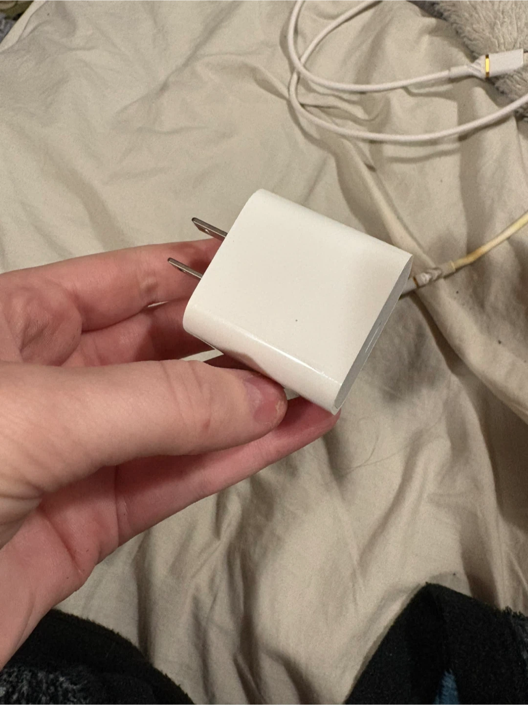 Apple EarPods & Charger - photo 3