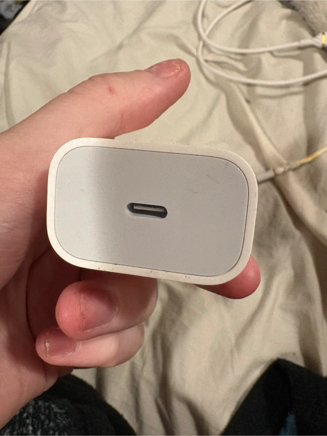 Apple EarPods & Charger - photo 2