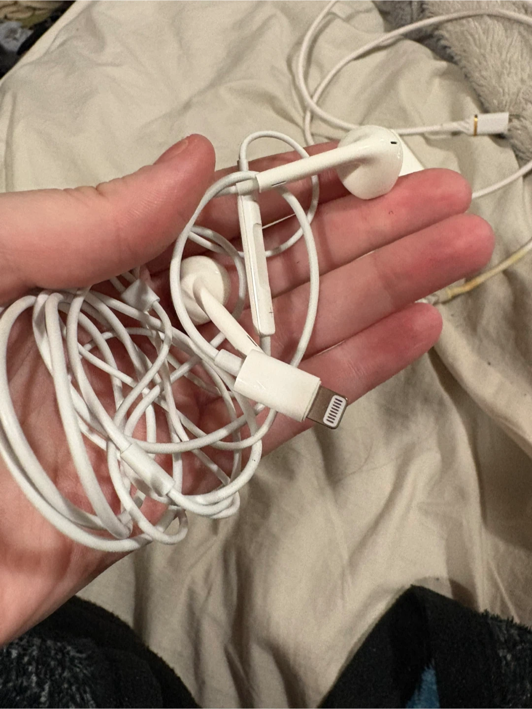 Apple EarPods & Charger - photo 4