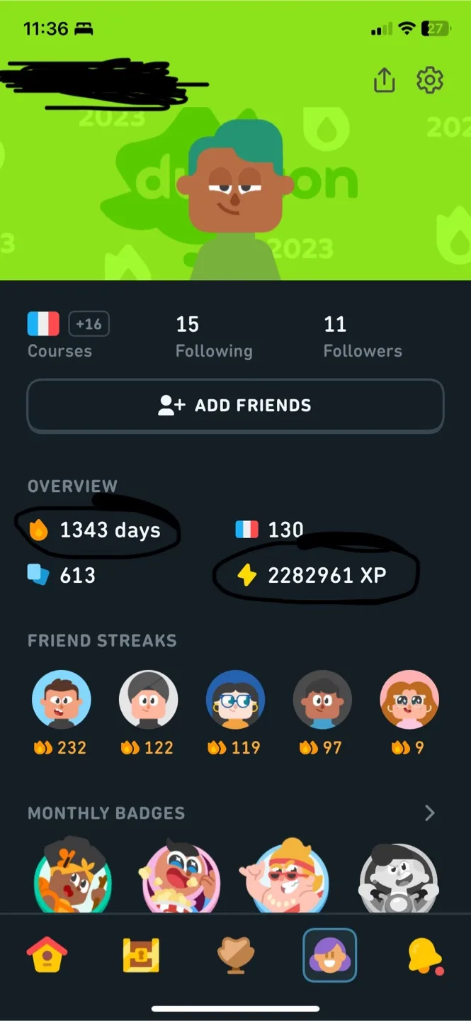 Duolinguo streak services