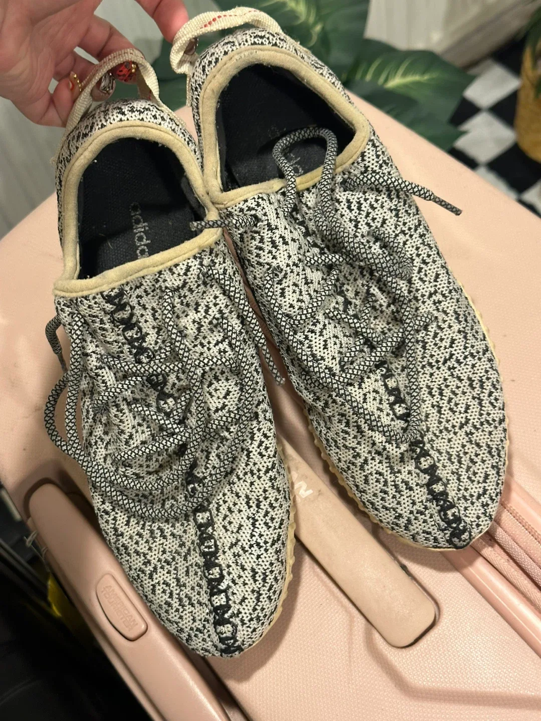 Adidas Yeezy Boost 350 V2 Zebra image indicator(4)