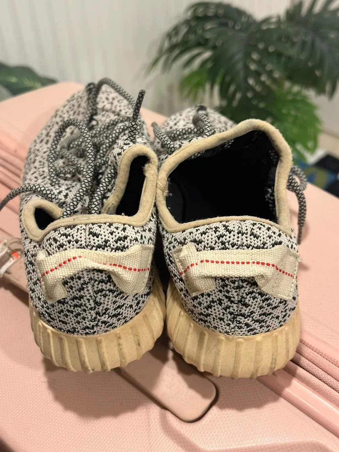 Adidas Yeezy Boost 350 V2 Zebra image indicator(5)