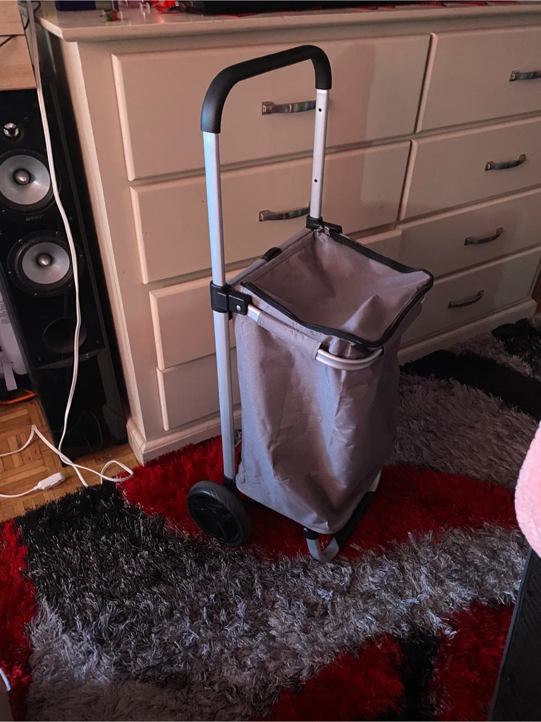 Grey Shopping Cart on Wheels thumbnail