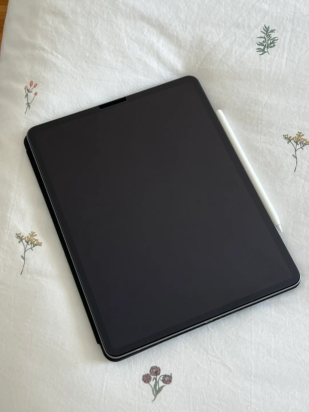 iPad Pro 12.9 inch - 3rd generation image indicator(2)