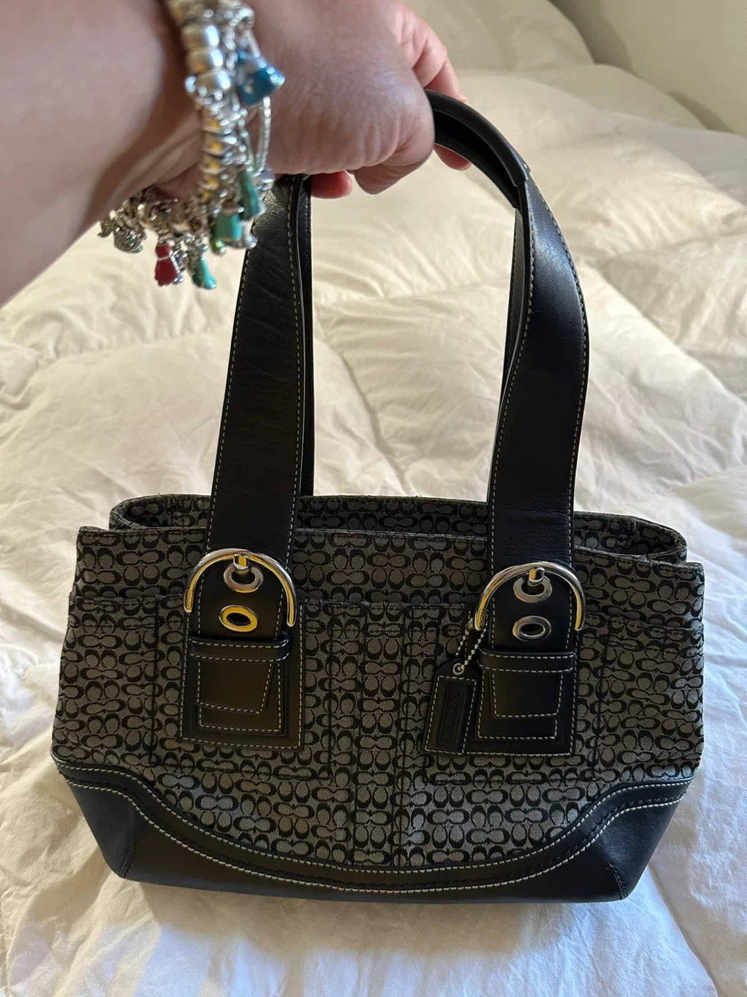 Coach Signature Demi Bag image indicator(3)