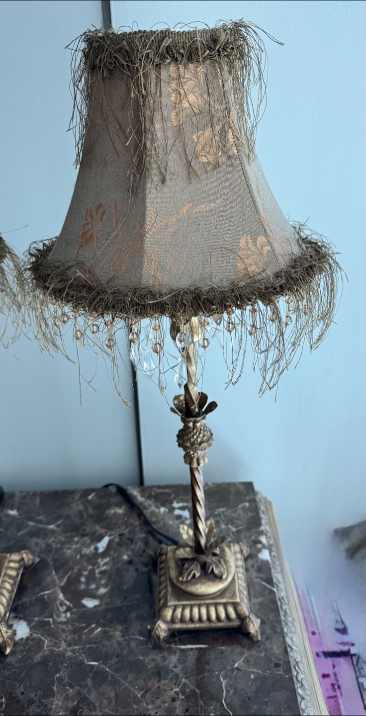 Pair of Decorative Table Lamps - photo 3