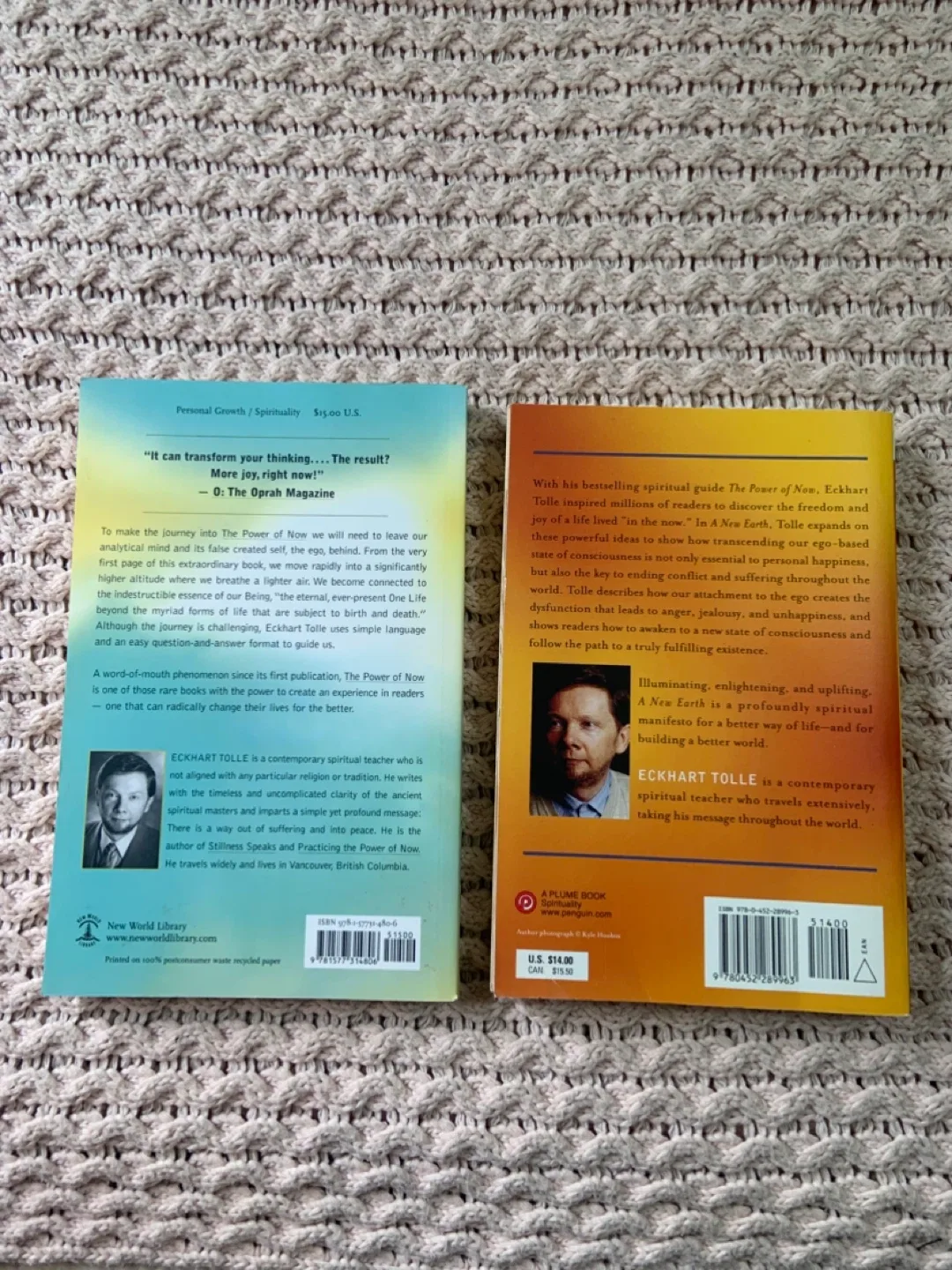 Eckhart Tolle: The Power of Now & A New Earth image indicator(4)