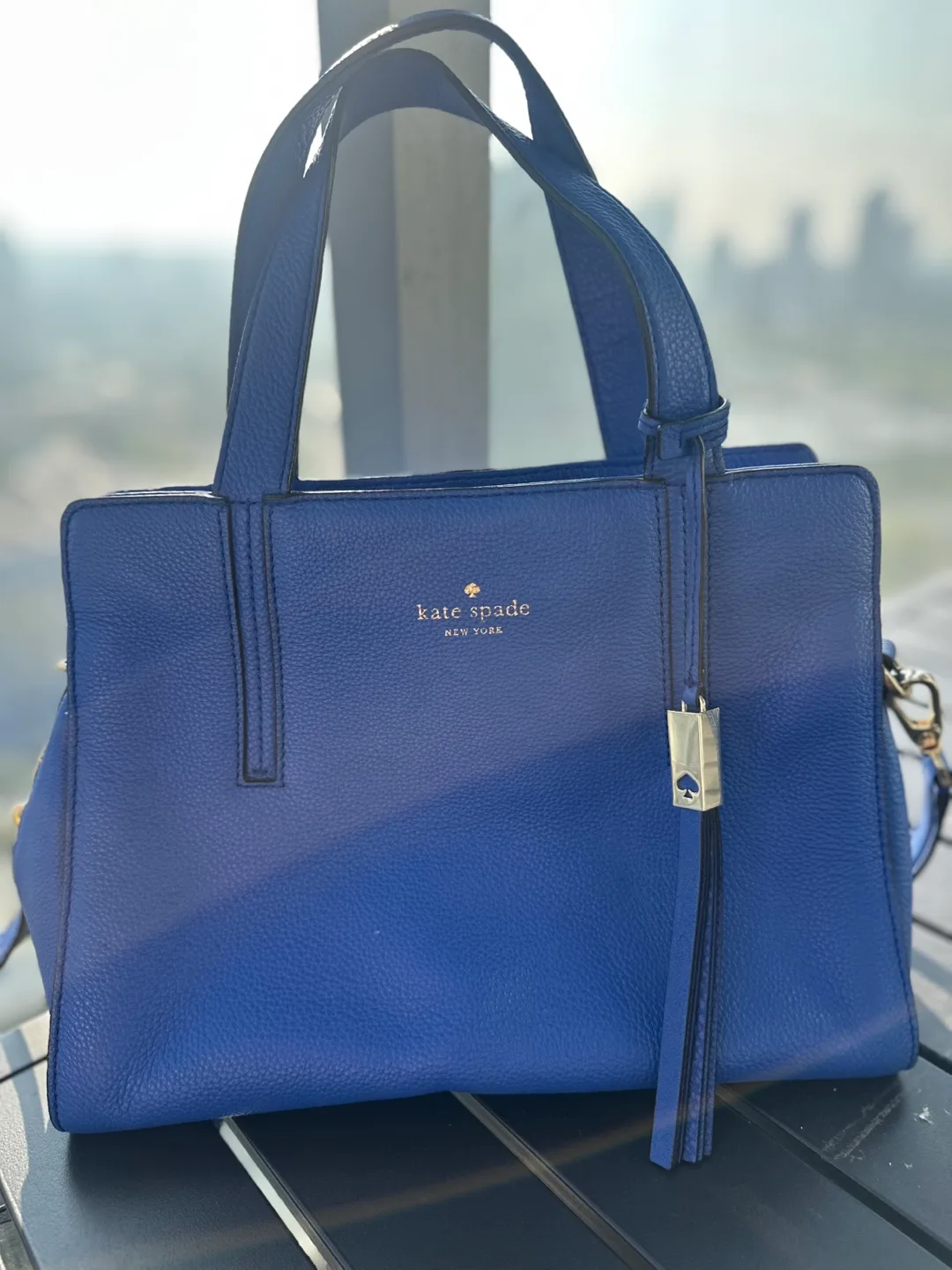Kate Spade Blue Leather Handbag image indicator(2)