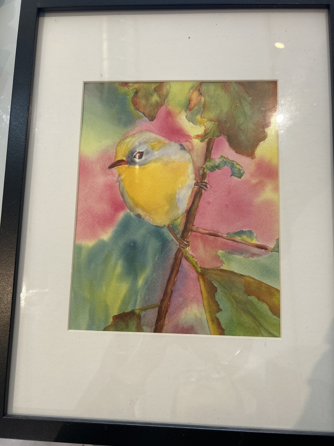 Framed Bird Watercolour