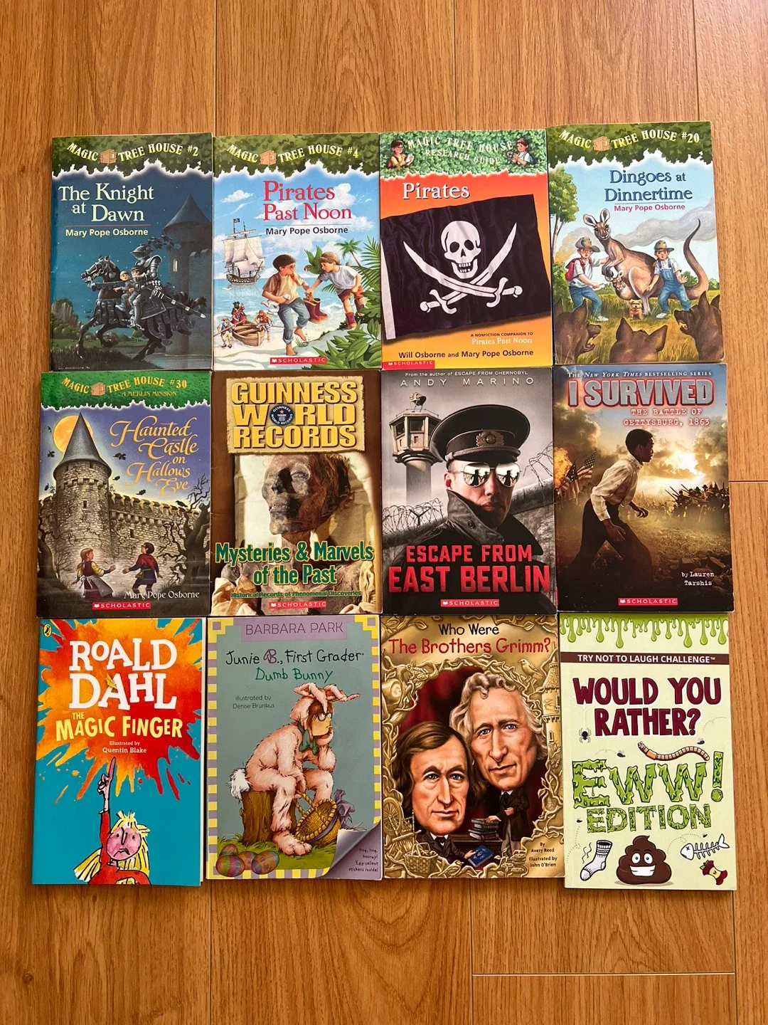 Children's Book Bundle - Magic Tree House, Roald Dahl & More! thumbnail