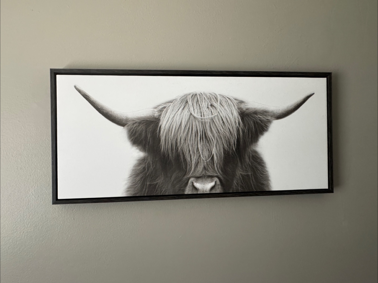 Wall picture frame