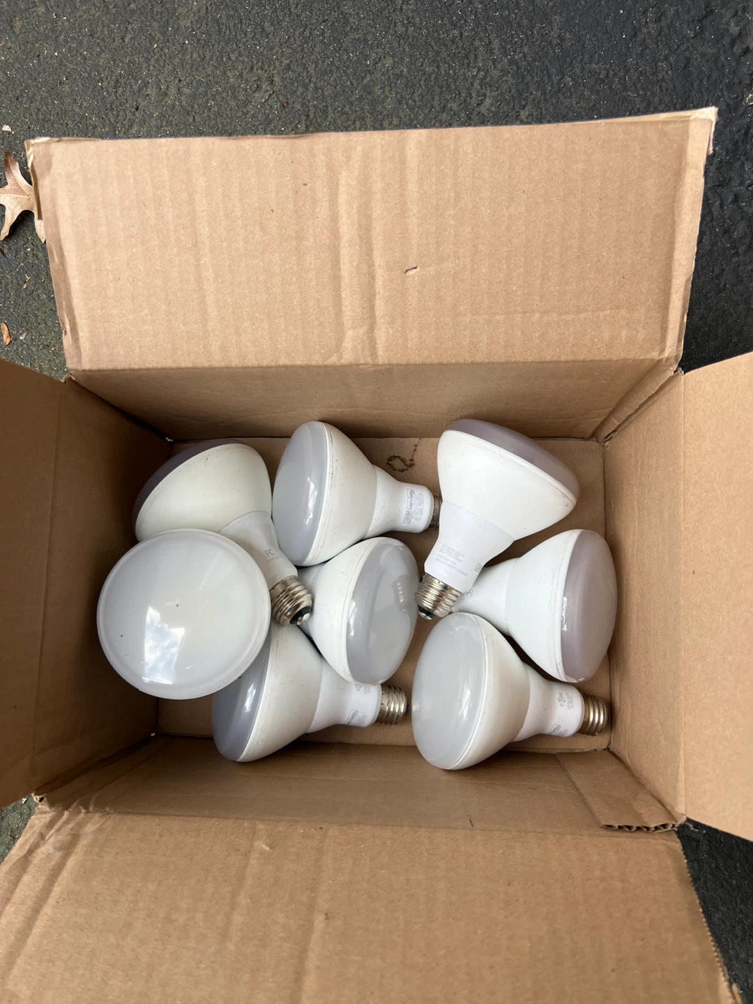 Box of LED Light Bulbs