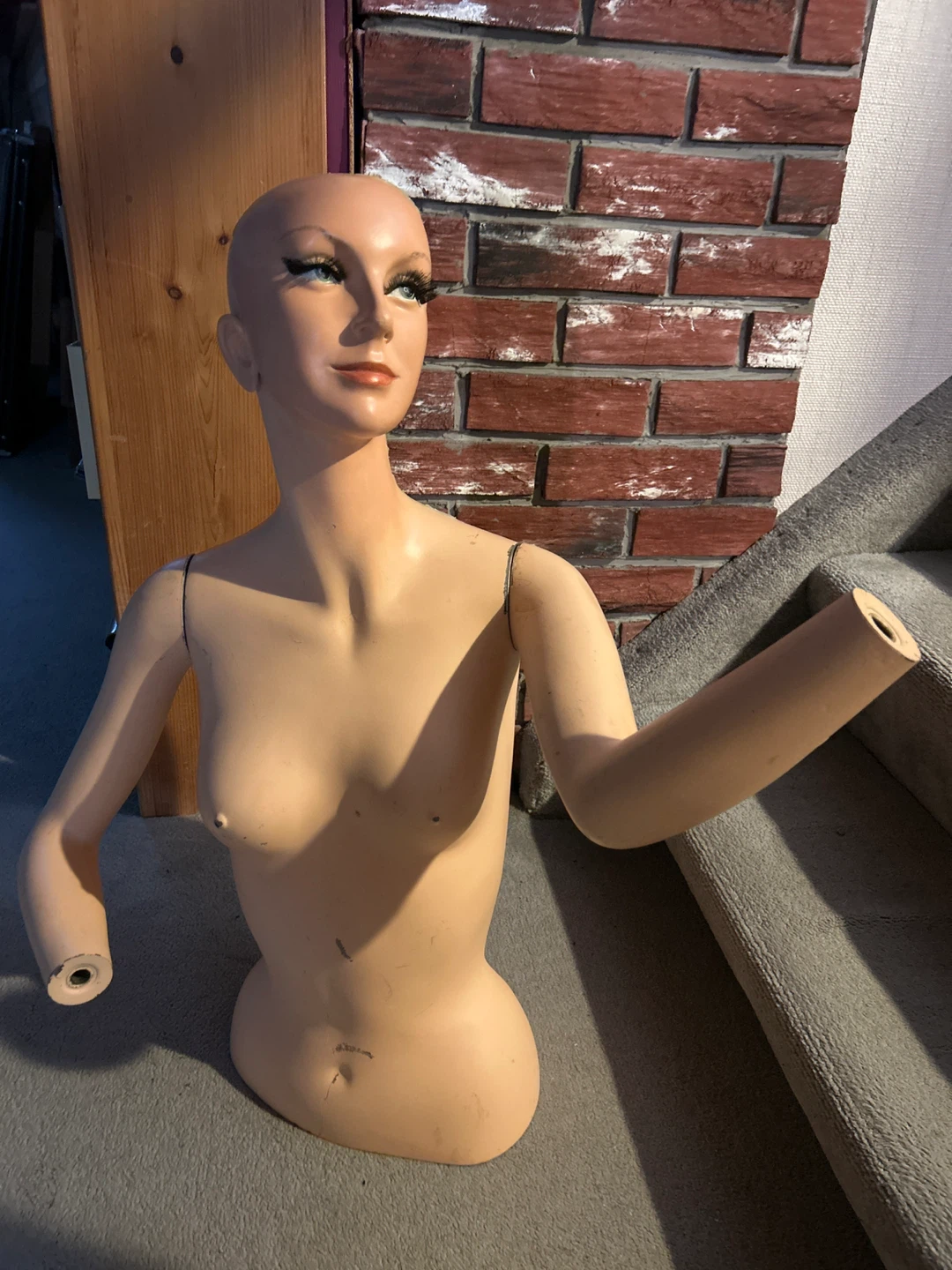 Mannequin Torso Display
