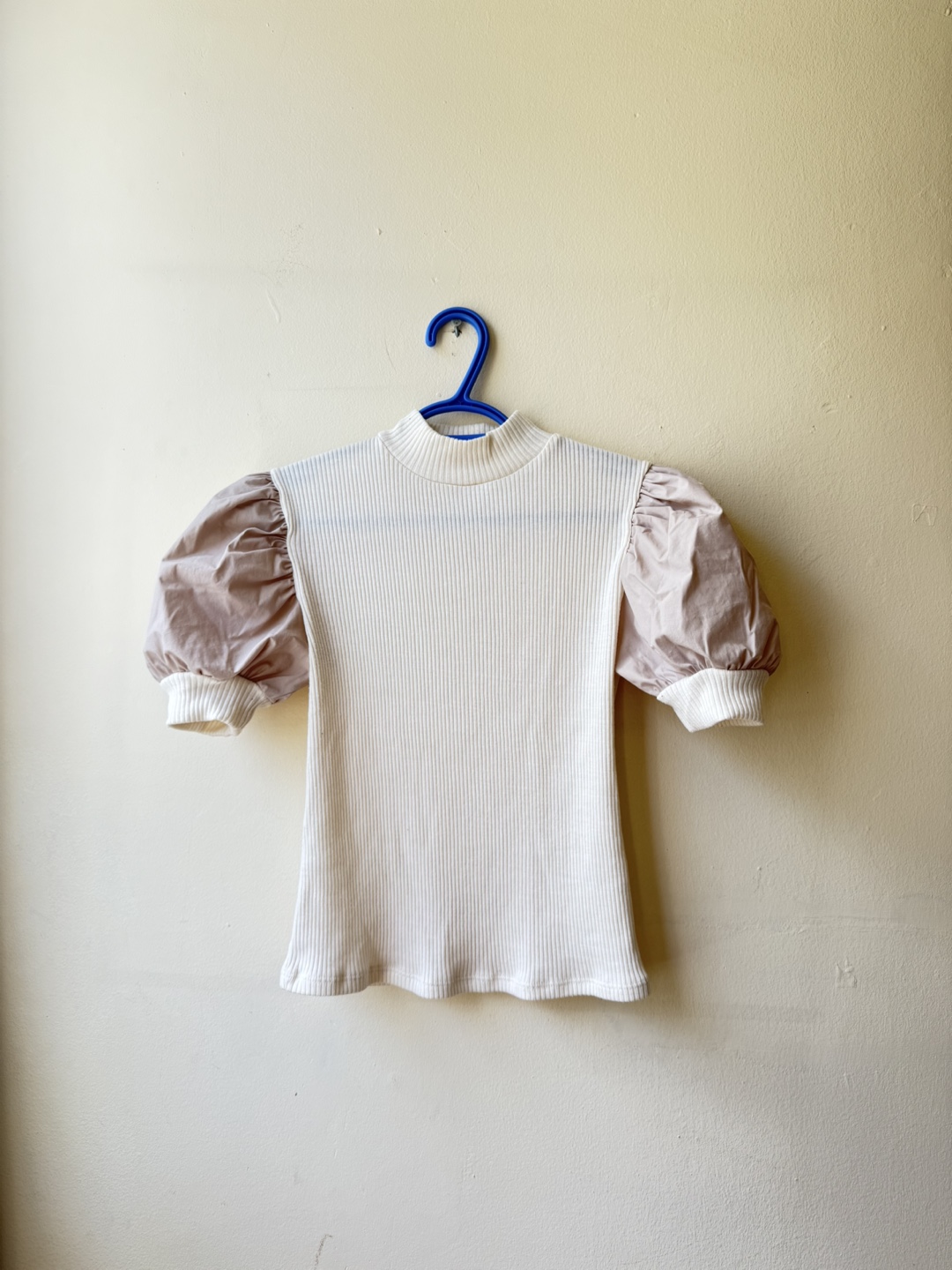 Zara Puff Sleeve Top