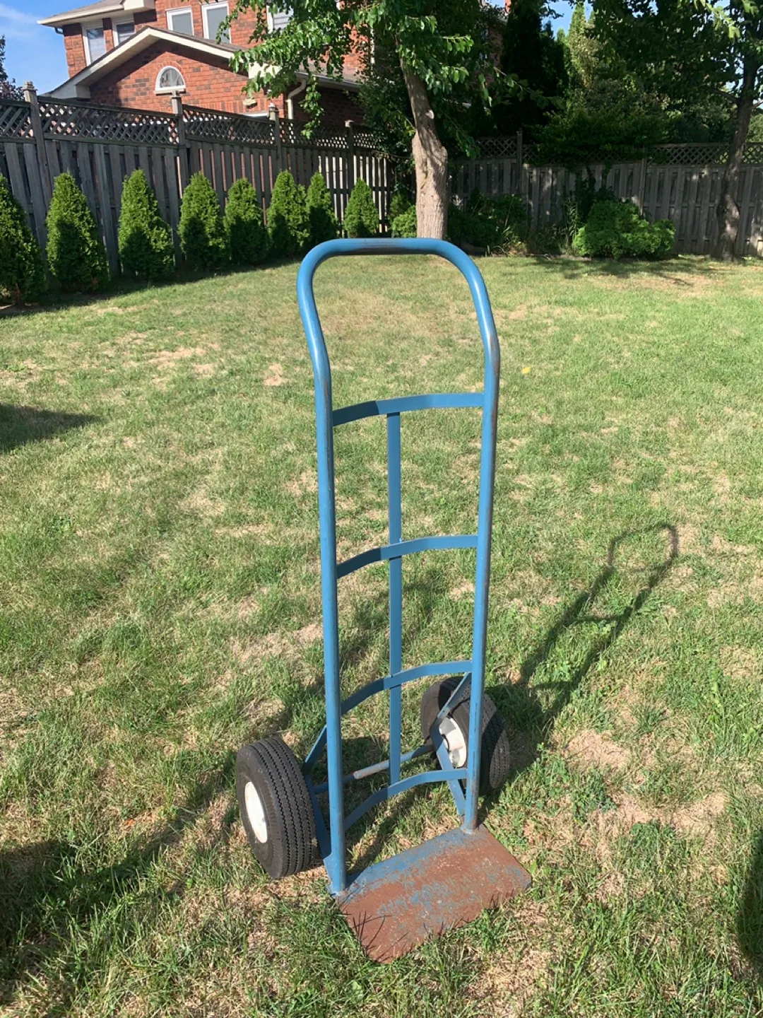 Blue Hand Truck Dolly image indicator(4)