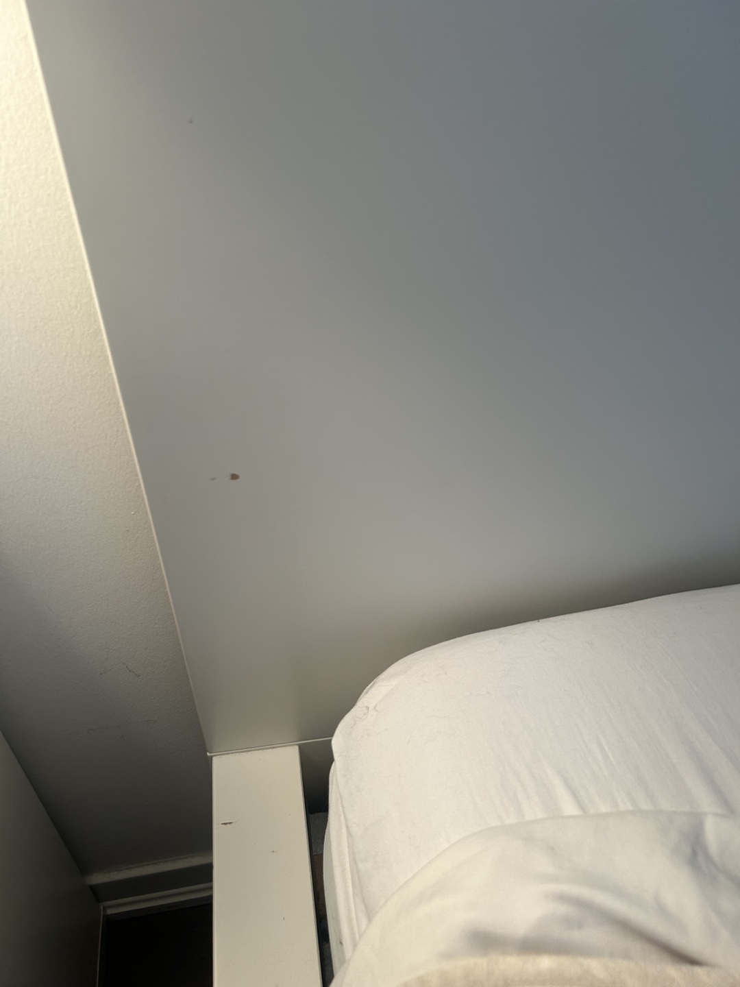 Queen Bed frame - photo 3