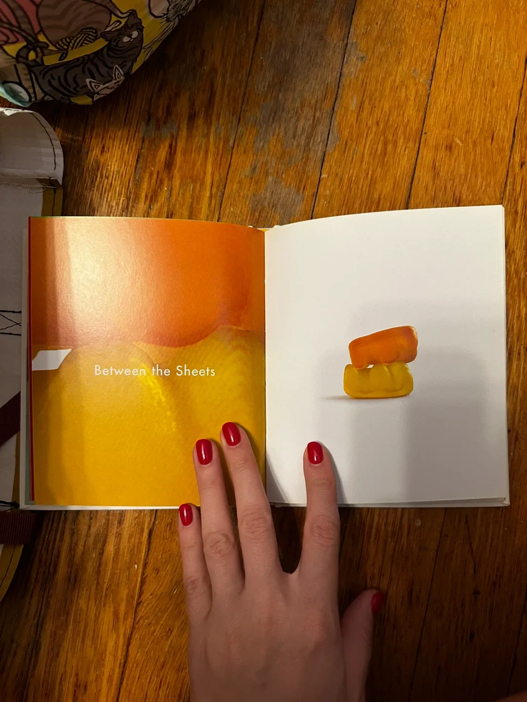 The Gummy Bear Book by Knock Knock image indicator(3)