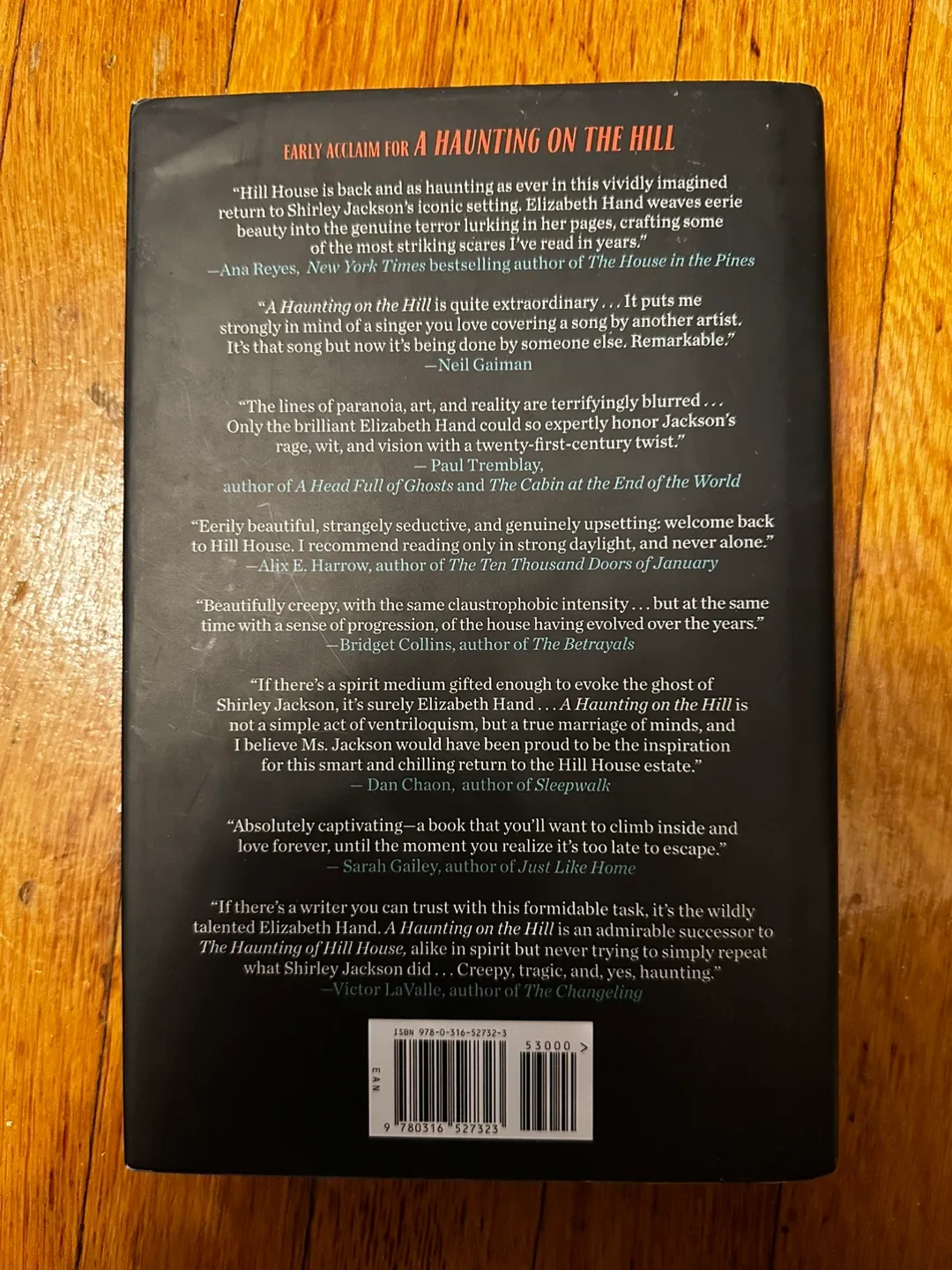 A Haunting on the Hill by Elizabeth Hand image indicator(2)