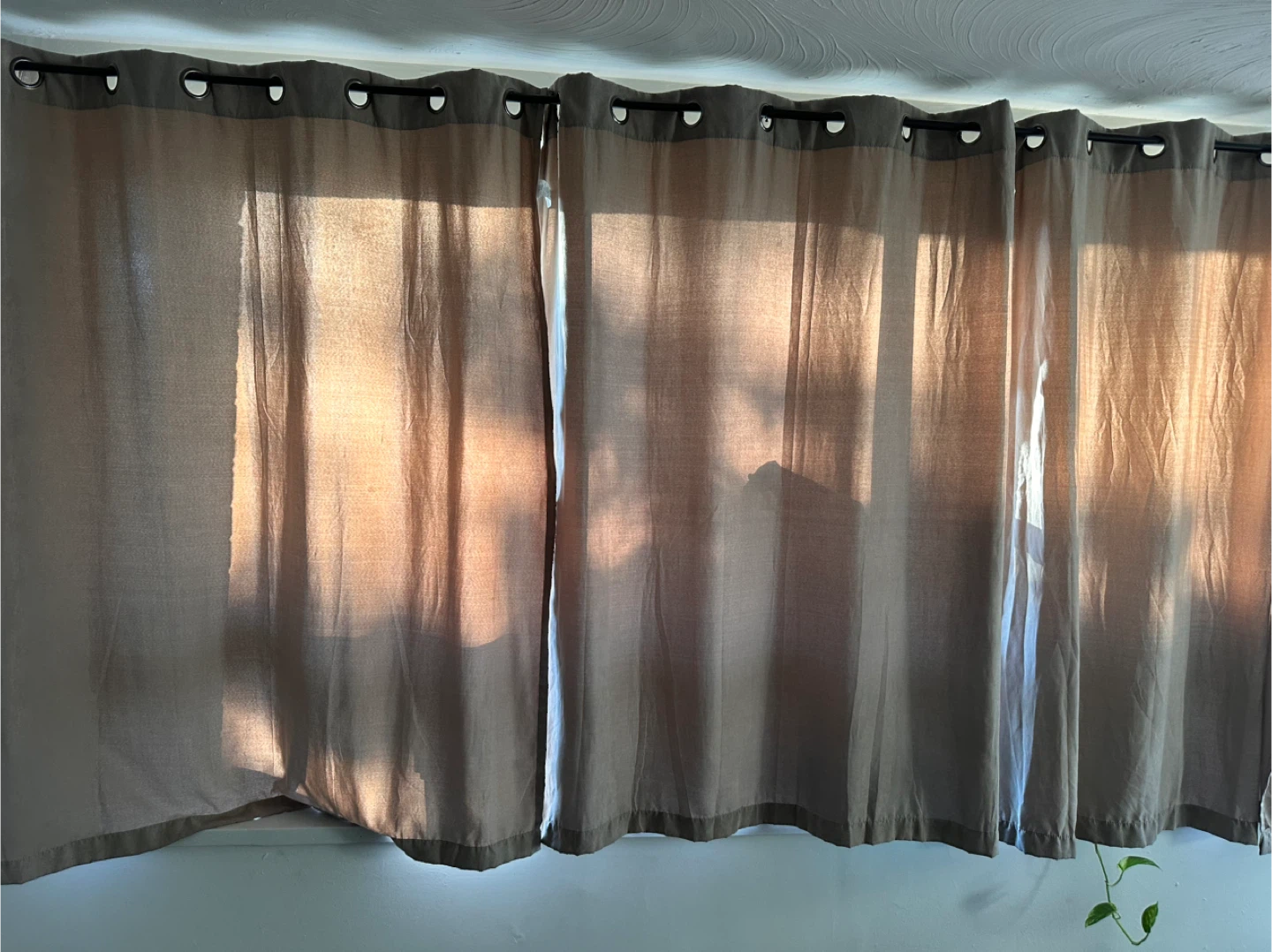 Curtain Rod with 3 black out curtains