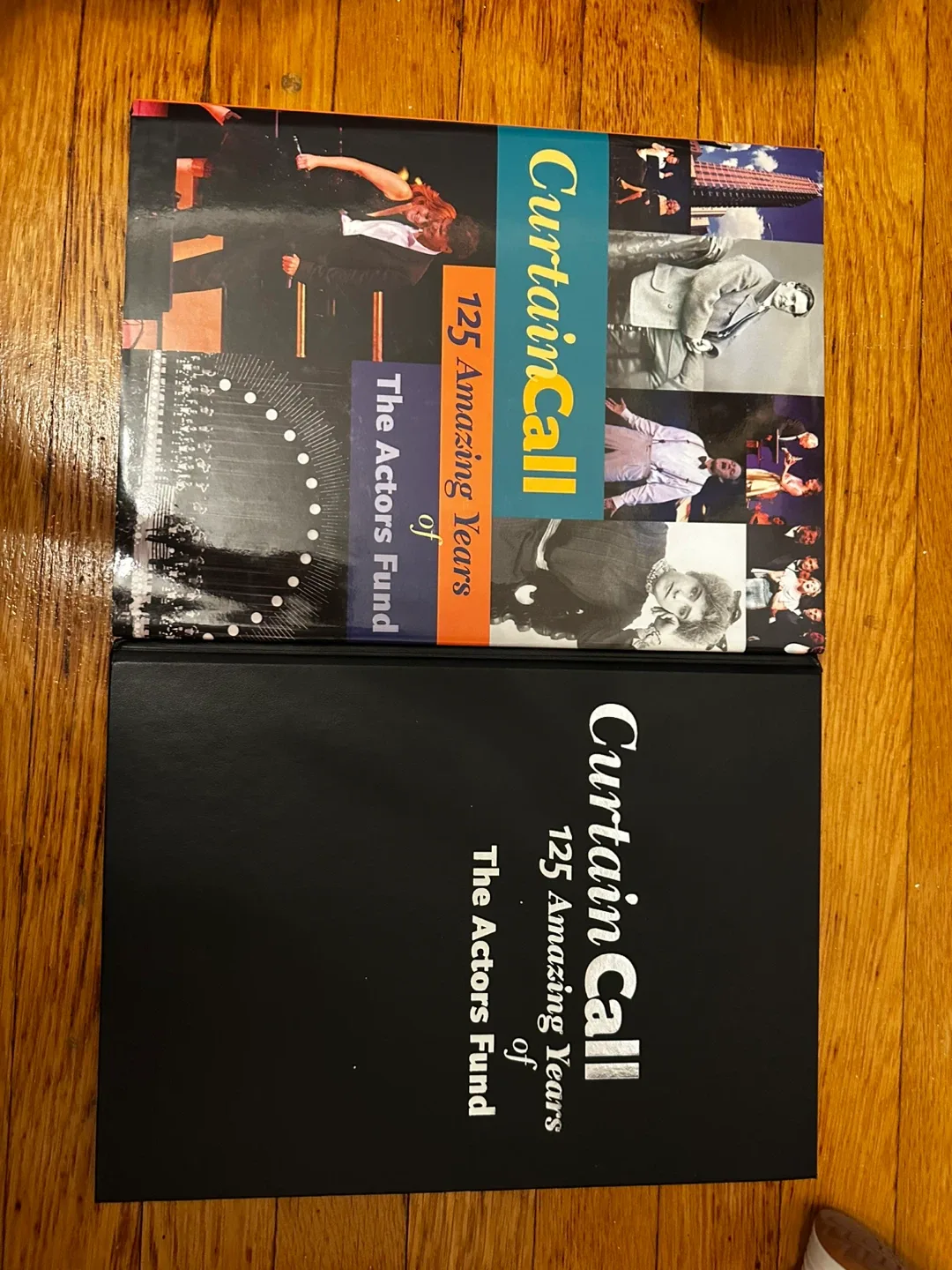 Curtain Call: 125 Amazing Years of The Actors Fund thumbnail